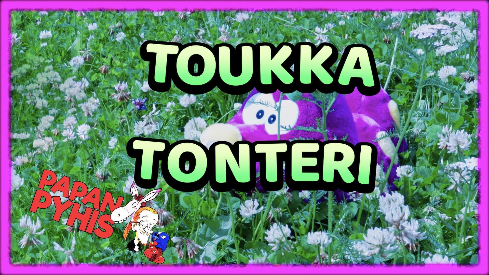 Toukka Tonteri
